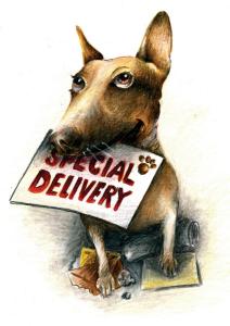 Dog_SpecialDelivery