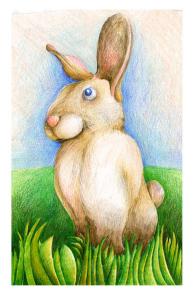 Rabbit