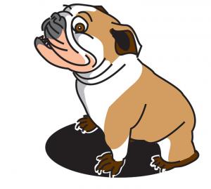Bulldog Outline