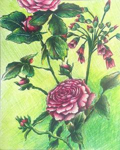 Roses