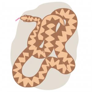 Snake Color