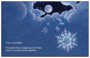 Snowflake 8.5x11 interior FIN 7-29-12 5