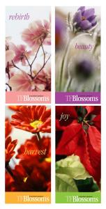 TF-Blossom-HangingBanners